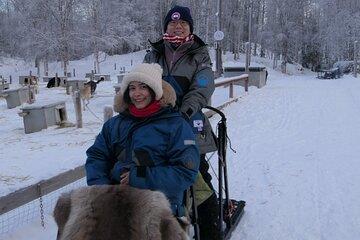 Dog Sledding and Mushing with 4X Iditarod Champ