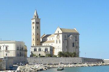 Bari,Trani & Castel Delmont Tour With Hotel Pickup From Lecce