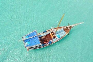 ZANZIBAR : pungume island, snorkeling, & dolphin trip