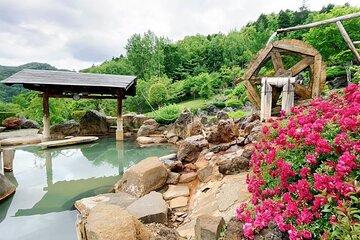 All-Season Hoheikyo Onsen Sapporo: Hot Spring, Nature & Culture