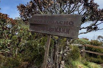 Tour of the mountains of Salento Morrogacho hiking
