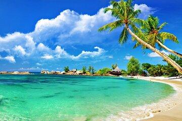 Cham Island Day Tour with Snorkeling and Speedboat Cruise