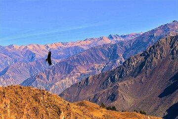 Arequipa 2 day tour to Colca Canyon and Cruz del Cóndor