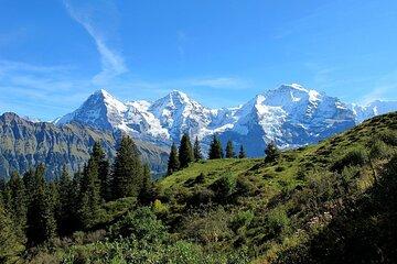 Private Swiss Alps Tour Interlaken Lauterbrunnen and Grindelwald