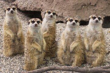 Sacramento Zoo General Admission Ticket