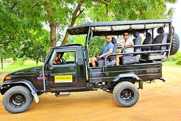 All inclusive Safari Tour at Wasgamuwa National Park from Kandy