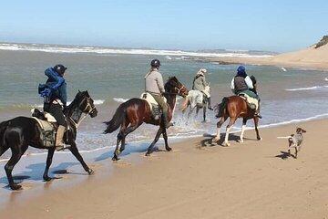 2-Hour Horseback Riding Experience & Traditional Lunch – Agadir