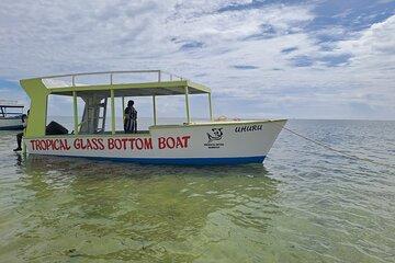 Half Day Creek Safari and Snorkeling Adventure in Mombasa
