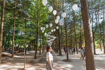 Nami, Petite France, Italian Village and Gangchon Rail Bike Tour