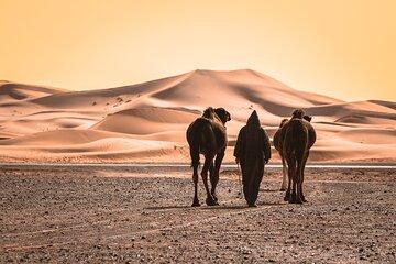 Private 4 Days To Marrakech Via Merzouga Desert From Agadir