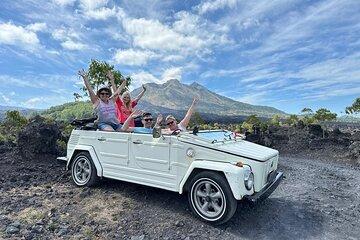 Best of Ubud: 1-Day Private Volkswagen Jeep Tour