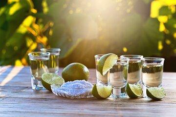 Olsztyn Private Vodka Tasting Tour