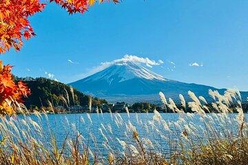 Mt. Fuji Tour Historic Village，Kawaguchiko Ropeway and Matcha