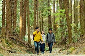 Private Guided Mt. Kunimi Kanazawa Trek