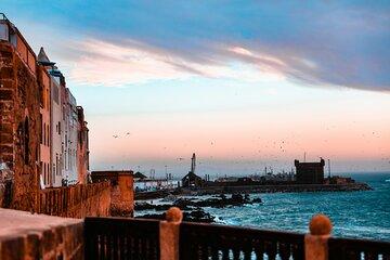 Full Day Essaouira Horse Ride, Argan Coop and Moroccan Picnic