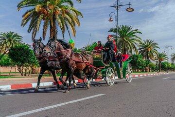 Carriage Rides Through Marrakech