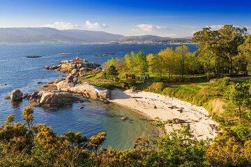 Wine Tasting and Scenic Islands In Rias Baixas