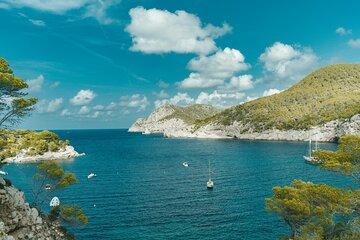 Ibiza Private Horseback Riding Tour on the Beach with Cava