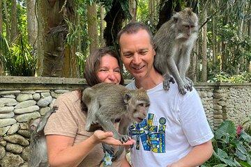 Explore Monkey Forest Ubud Rice Terrace Waterfall and more