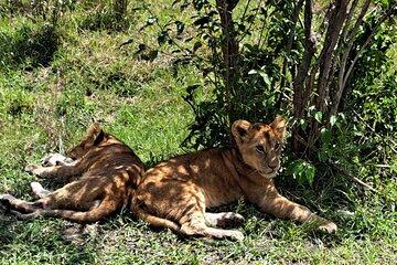 10 Days Kenya and Tanzania Combine Safari