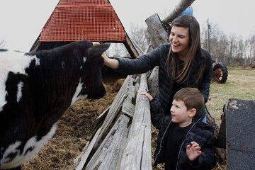 Private Tour at Historic Alaska Dairy Farm