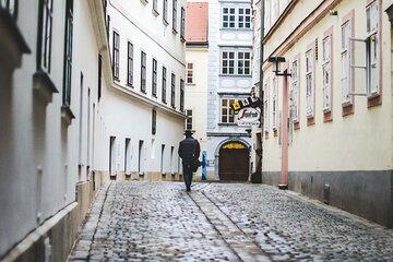 Mystery rally : True Viennese crime story(s)