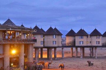 4 Days Amboseli Taita Hills Salt Lick and Tsavo East Safari