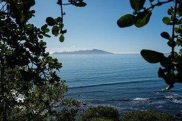 Self Guided Escarpment Track Hike with Transfer Train and Lunch