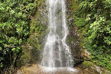 Cocora Valley Waterfall Tour