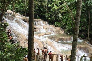 Dunns River Falls Experience from Montego Bay