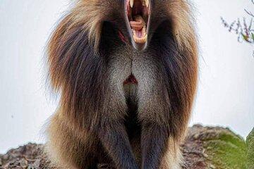 21 Days Ethiopian Wonders Adventure