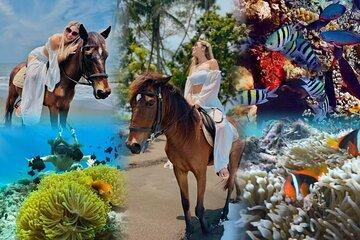 Bali Horse ride with Snorkeling