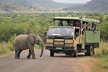 2 Day Hluhluwe Imfolozi and Isimangaliso Wetland Tour from Durban