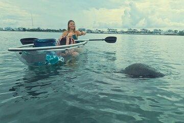 Sarasota Waterways Tour for All Ages