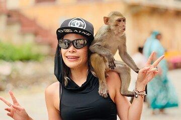Nahargarh Fort and Monkey Temple 4 Hour Tour
