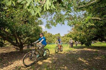 Half Day Historical and Cultural Experience Bicycle Tour
