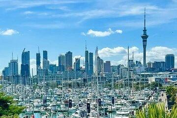[PRIVATE] Auckland Half Day City Tour
