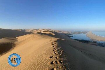 Pangaea Tours - Combo Sandwich Harbour + Dolphin & Seal Cruise