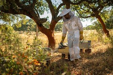 Beekeeping, nature and tradition