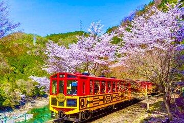 Nara Park Fushimi Inari Torii Gates and Bamboo Forest Day Trip