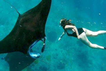 Private All Inclusive Nusa Penida Snorkeling and Tour