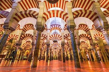 Cordoba Private Tour from Seville