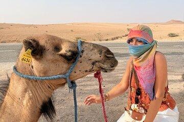 Camel Ride with Moroccan Dinner Experience