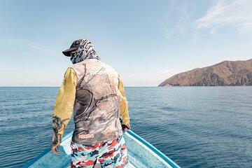 Marine Safari in La Ventana