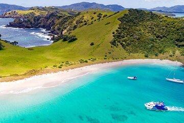 Explore The Bay of Islands Full Day Private Tour from Auckland