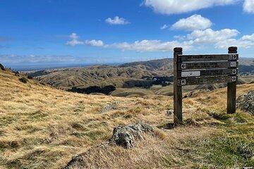 Wellington: Wild Skyline Guided Hike Lunch and Transfers