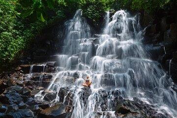 Private Ubud Tour Waterfalls, Rice Terraces, Temple