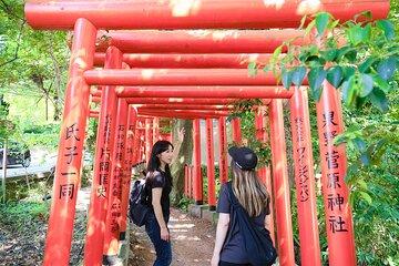 Walk and Ride through Higashi Chaya