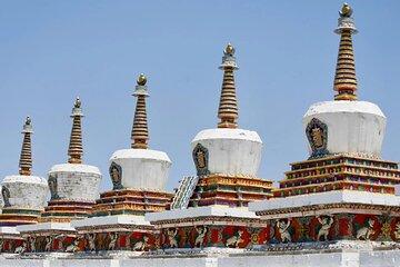 Private Day Trip to Ta’er Monastery and Lake Kokonor