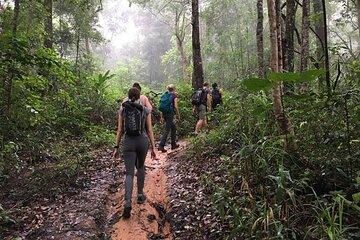 Chiang Mai Nature Trekking Tour Temples and Hmong Village Visit